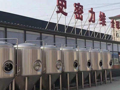 通化精酿啤酒设备厂—如何判断精酿啤酒设备的密封件需要更换？